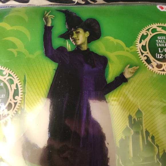 Womens Wicked Oz Movie Elphaba Deluxe Adult Large 12-14 Witch Halloween Costume - Picture 3 of 13